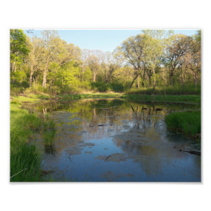 Moore-Park Battle Creek Fotodruck