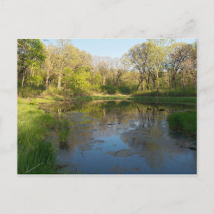 Moore-Park Battle Creek Postkarte