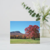Moore's Knob am Hanging Rock Staat Park Postkarte (Stehend Vorderseite)