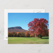 Moore's Knob am Hanging Rock Staat Park Postkarte (Vorne/Hinten)