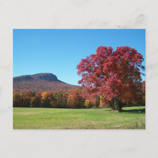 Moore's Knob am Hanging Rock Staat Park Postkarte