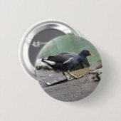 Moorhen Button (Vorne & Hinten)
