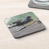 Moorhen Cork Untersetzer (Linke Seite)