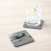 Moorhen Cork Untersetzer (Rechte Seite)