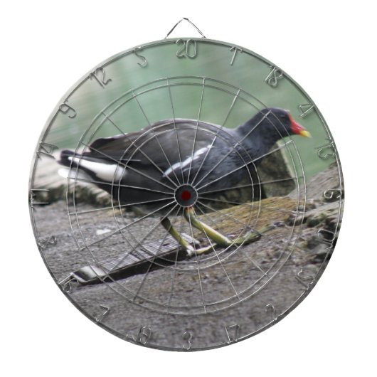 Moorhen Dart Board Dartscheibe (vorne)