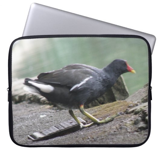 Moorhen Laptop Bag Laptopschutzhülle (Vorderseite)