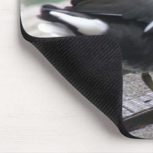 Moorhen Mousepad (Ecke)