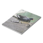 Moorhen Notepad Notizblock (Rotiert)