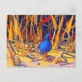 Moorhen Postcard Postkarte (Vorderseite)