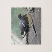 Moorhen Puzzle (Vertikal)
