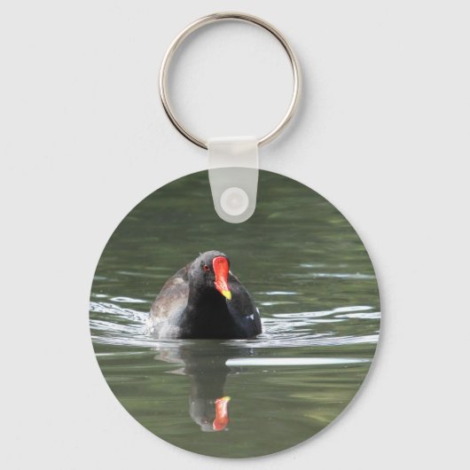 Moorhen und Reflektion Schlüsselanhänger (Vorderseite)