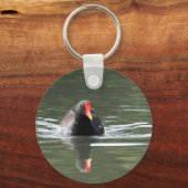 Moorhen und Reflektion Schlüsselanhänger (Vorderseite)