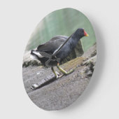 Moorhen Wall Clock Große Wanduhr (Winkel)