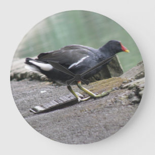 Moorhen Wall Clock Große Wanduhr