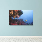 Moorish Idol Leinwanddruck (Insitu (Holzboden))