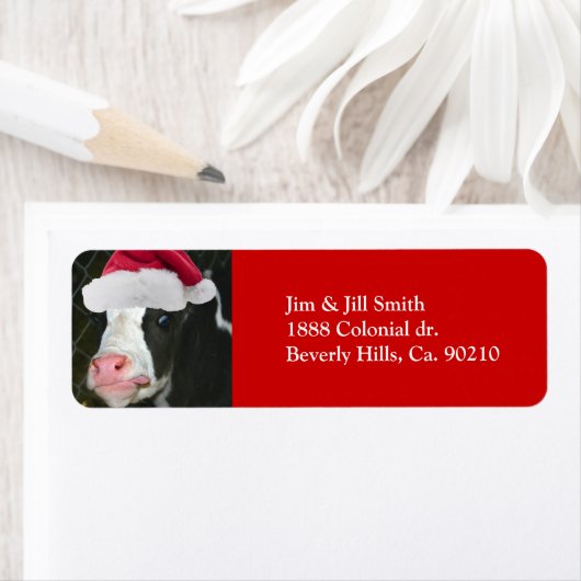 Moory Cow Christmas (Insitu)