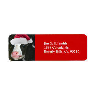 Moory Cow Christmas