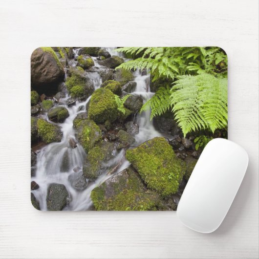 Moos bedeckte Felsen mit unscharfem Wasser und Mousepad (Mit Mouse)