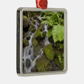 Moos bedeckte Felsen mit unscharfem Wasser und Silbernes Ornament (Rechts)