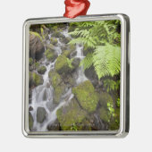 Moos bedeckte Felsen mit unscharfem Wasser und Silbernes Ornament (Links)