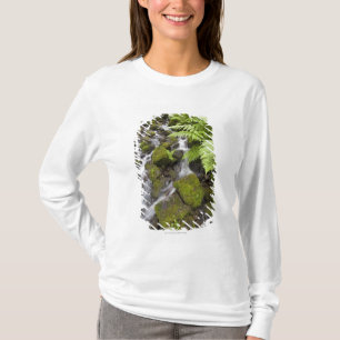 Moos bedeckte Felsen mit unscharfem Wasser und T-Shirt