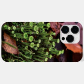 Moos Case-Mate iPhone Hülle (Rückseite (Horizontal))