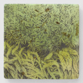 Moos, das mit grünem Überlagerungs-Untersetzer Steinuntersetzer (Vorderseite)