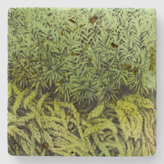 Moos, das mit grünem Überlagerungs-Untersetzer Steinuntersetzer (Vorderseite)