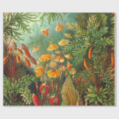 Moos - Ernst Haeckel Geschenkpapier (Flach)