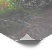 Moos im Wald Poster (Ecke)