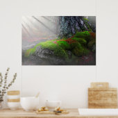 Moos im Wald Poster (Küche)