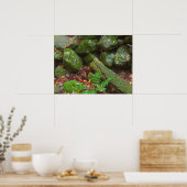 Moos im Wald Poster (Küche)