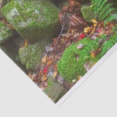 Moos im Wald Seidenpapier (Ausschnitt)