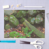 Moos im Wald Seidenpapier (Handwerk)