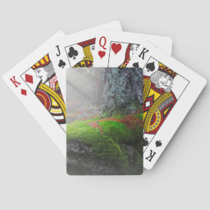 Moos im Wald Spielkarten