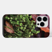 Moos iPhone Hülle (Rückseite (Horizontal))