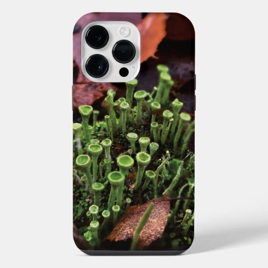 Moos iPhone Hülle (Rückseite)