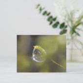 Moos mit Postkarte (Stehend Vorderseite)