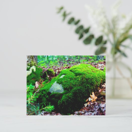 Moos Postkarte (Stehend Vorderseite)