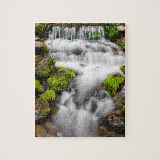 Moos um Fern Spring Puzzle (Vertikal)