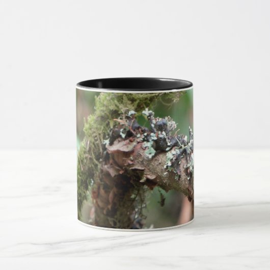 Moos und Flechten Tasse (Zentrum)