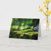 Moos wachsen auf Felsen Grußkarten Karte (Gelbe Blume)