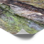 Moosbedeckte Baumrinde Poster (Ecke)