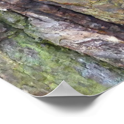 Moosbedeckte Baumrinde Poster (Ecke)