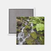 Moosbedeckte Felsen mit verschwommenem Wasser und Magnet (Vorderseite/Rückseite)