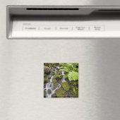 Moosbedeckte Felsen mit verschwommenem Wasser und Magnet (In Situ (Geschirrspüler))