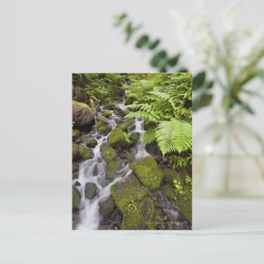 Moosbedeckte Felsen mit verschwommenem Wasser und  Postkarte (Stehend Vorderseite)
