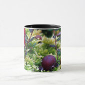 Moosbeeren Tasse (Zentrum)