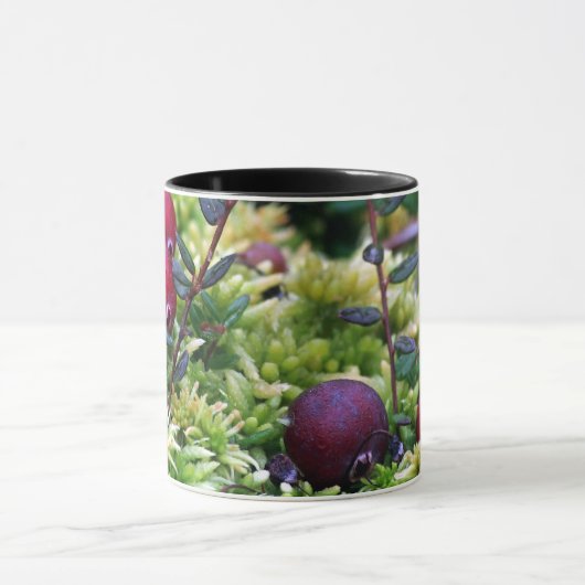 Moosbeeren Tasse (Zentrum)