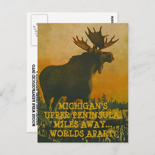 MOOSE AM SONNENSATZ ~ UPPER PENINSULA REISE POSTCA POSTKARTE (Vorne/Hinten)